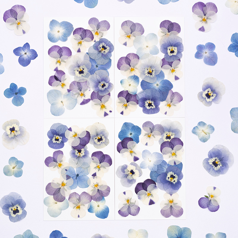 Dried Flower Bookmark - 12 szt., Prawdziwe suszone kwiaty Viola