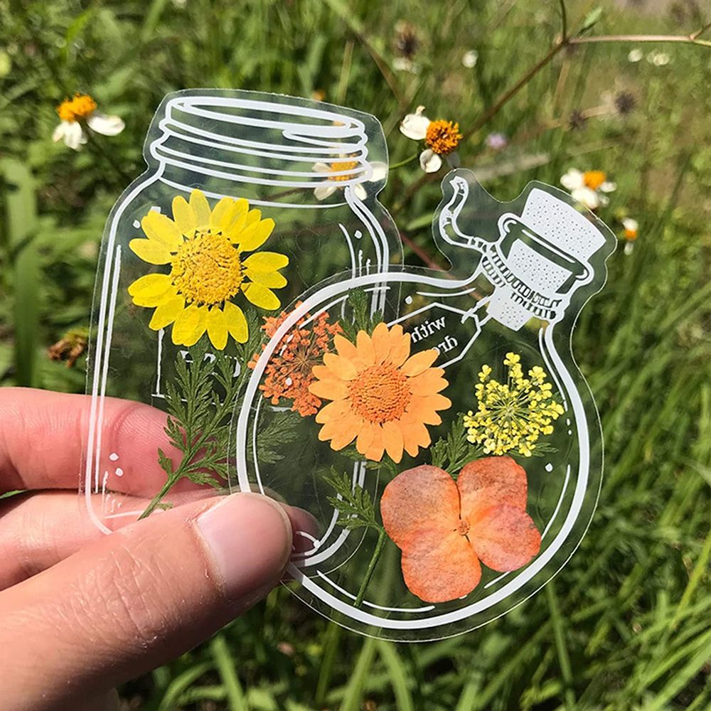 30 szt. DIY przezroczyste susz – Dried Flower Bookmark recenzja i cena