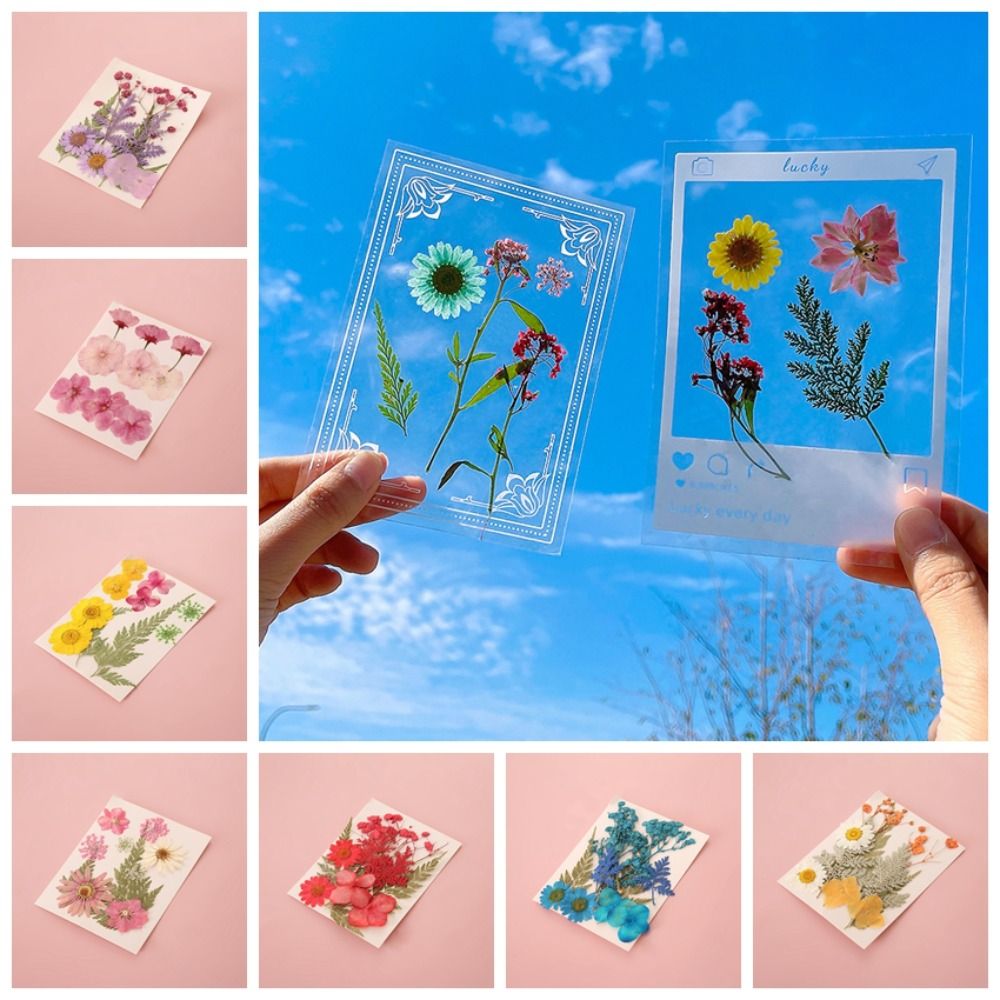 Materiały DIY, Zakładki do ksi – Dried Flower Bookmark recenzja i cena