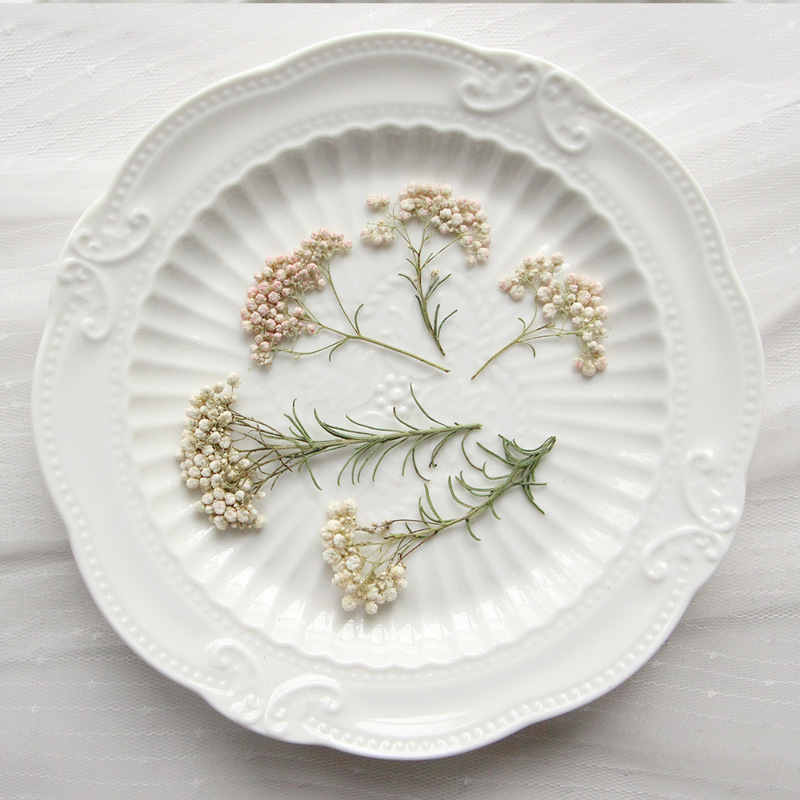 12 szt., Naturalne gałązki kwi – Dried Flower Bookmark recenzja i cena